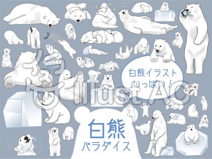 シロクマの生態のイラスト