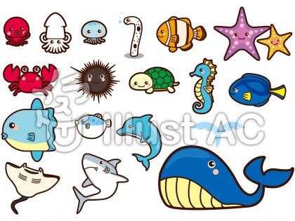 海洋生物イラスト 無料イラストなら イラストac