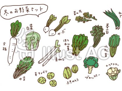 冬 野菜 イラスト デスクトップ 壁紙 シンプル