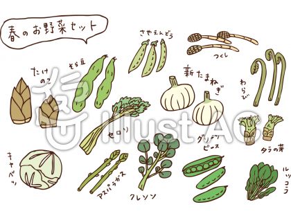 コレクション 春 野菜 イラスト 最高の壁紙のアイデアcahd