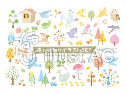 鳥イラスト 無料イラストなら イラストac