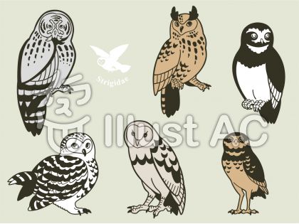 フクロウセットイラスト No 868059 無料イラストなら イラストac