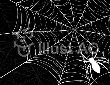 かっこいい 蜘蛛 の 巣 イラスト