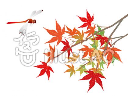 秋の虫イラスト／無料イラストなら「イラストAC」