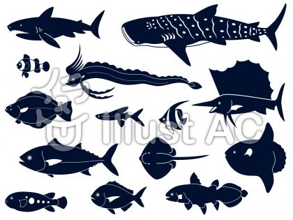 75 ジンベエザメ イラスト 白黒 かわいい動物画像