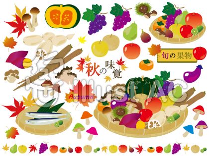 秋の野菜と果物イラスト No 7804 無料イラストなら イラストac