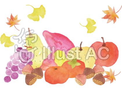 秋の果物イラスト 無料イラストなら イラストac