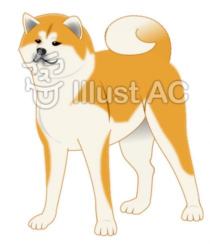 秋田犬のイラスト02 19年亥年 新着無料年賀状ブログ