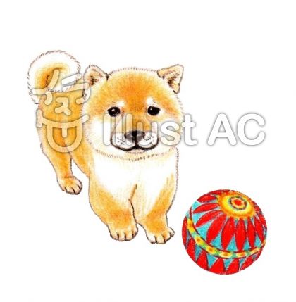 リアルな犬イラスト 無料イラストなら イラストac