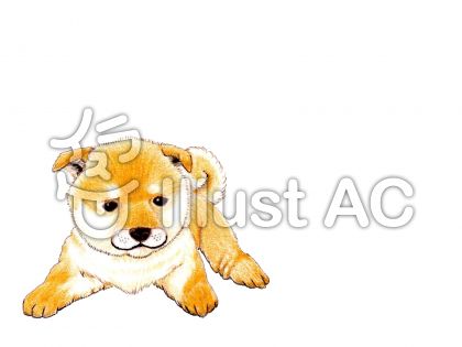 かわいい子犬イラスト 無料イラストなら イラストac