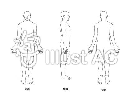 最新 体 イラスト 素材 2021年に最も人気のある壁紙画像 Hdr