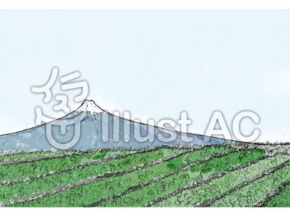 茶畑イラスト 無料イラストなら イラストac