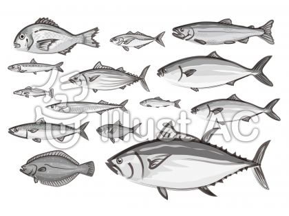すべての動物の画像 元の魚 イラスト フリー 白黒