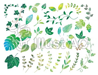 観葉植物イラスト 無料イラストなら イラストac