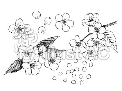 すべての美しい花の画像 最新モノクロ 花 イラスト 白黒 リアル