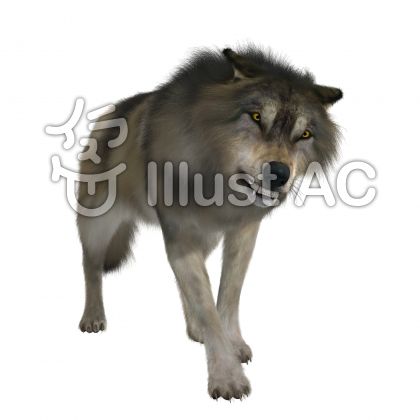 捕食動物イラスト 無料イラストなら イラストac