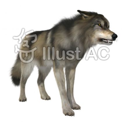 捕食動物イラスト 無料イラストなら イラストac