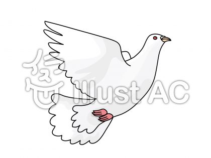 50 白い鳩 イラスト リアル かわいい動物画像