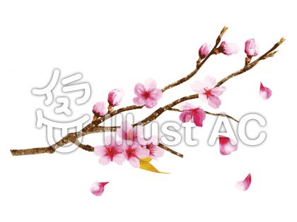 最高の桜 枝 イラスト リアル かわいいディズニー画像