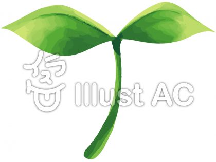 双葉イラスト 無料イラストなら イラストac