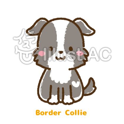 コリー犬イラスト 無料イラストなら イラストac