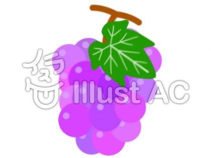 美しい花の画像 驚くばかり葡萄の葉 イラスト