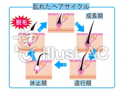 サイクルイラスト 無料イラストなら イラストac