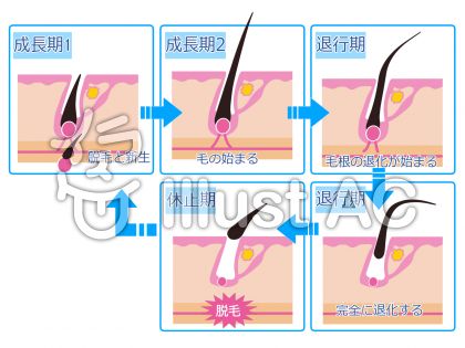 サイクルイラスト 無料イラストなら イラストac