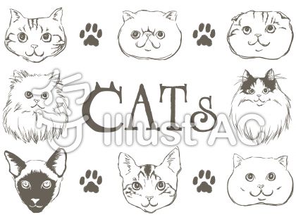 シャム猫イラスト 無料イラストなら イラストac