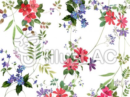 綺麗な花イラスト 無料イラストなら イラストac