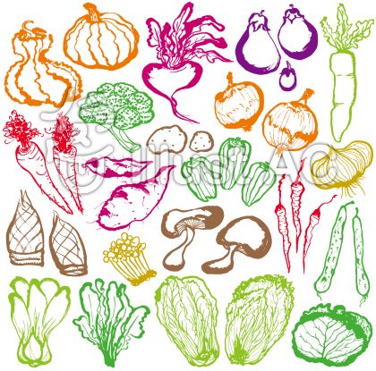 オーガニック野菜イラスト 無料イラストなら イラストac