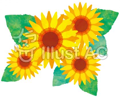 七月の花イラスト／無料イラストなら「イラストAC」