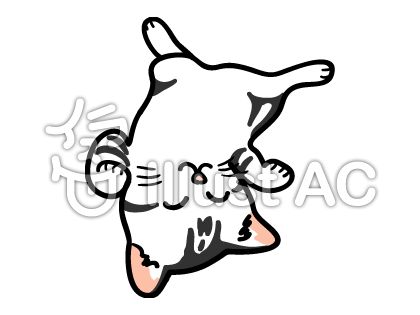 アメショーイラスト 無料イラストなら イラストac