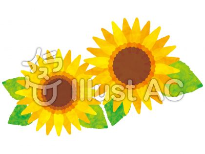 オレンジの花イラスト 無料イラストなら イラストac