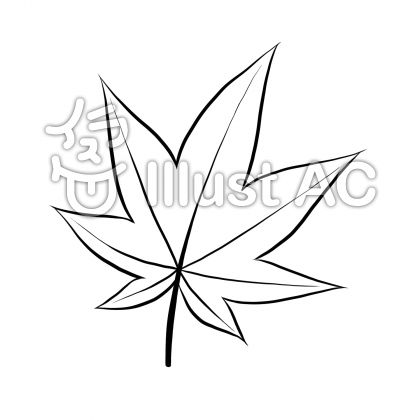 もみじの葉一枚線画塗絵イラスト No 無料イラストなら イラストac