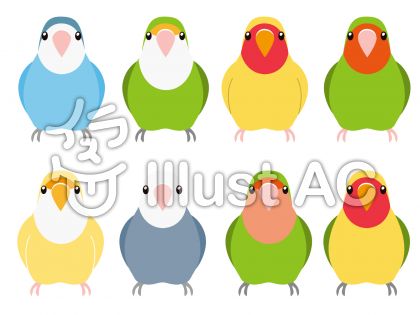 コザクラインコイラスト 無料イラストなら イラストac