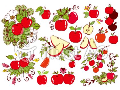 100以上 イラスト無料 りんご イラスト 手書き 最高の画像壁紙日本aad