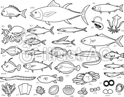 無料の動物画像 ロイヤリティフリー魚釣り イラスト リアル