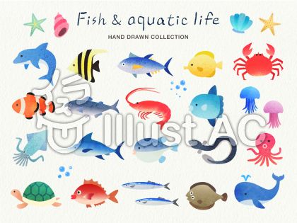 選択した画像 かわいい 魚 イラスト リアル 最高の新しい壁紙aahd