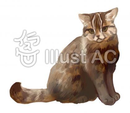 ヤマネコイラスト 無料イラストなら イラストac