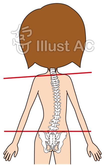 最も共有された 背骨 イラスト 無料 最高の壁紙のアイデアcahd