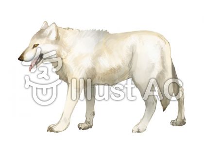 リアルな犬イラスト 無料イラストなら イラストac