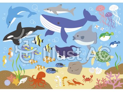 水族館イラスト 無料イラストなら イラストac