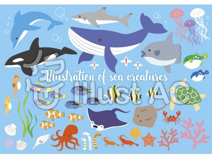 海 生き物 イラスト 綺麗 最高の壁紙のアイデアcahd