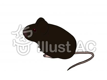 ねずみ マウス 黒 動物実験イラスト No 1232934 無料イラストなら イラストac