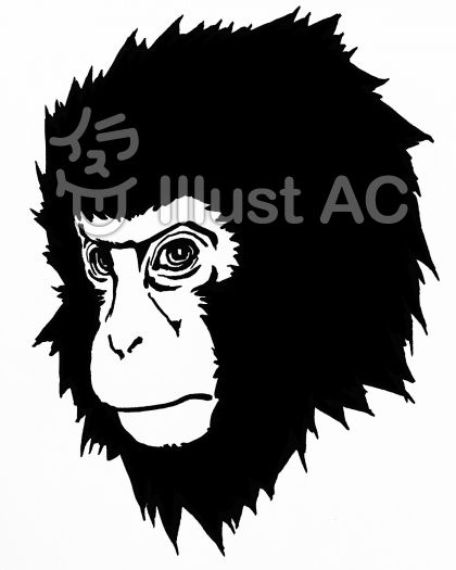 かっこいい おしゃれ 猿 イラスト 最高の画像壁紙日本aad