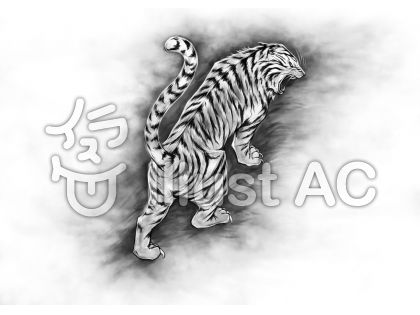 0以上 手書き かっこいい 白黒 虎 イラスト 無料の花の画像