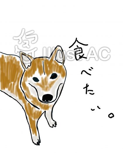 Shiba Fuku 0001イラスト No 無料イラストなら イラストac