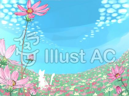 コスモス背景 花イラスト No 無料イラストなら イラストac