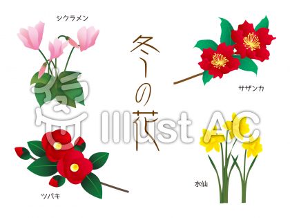 水仙の花イラスト 無料イラストなら イラストac